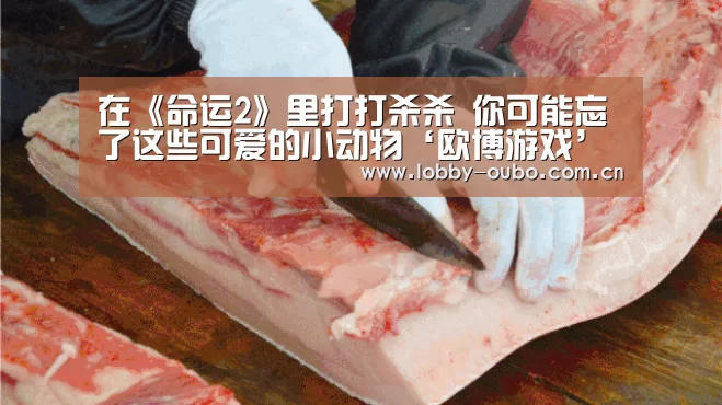 在《命运2》里打打杀杀 你可能忘了这些可爱的小动物‘欧博游戏’